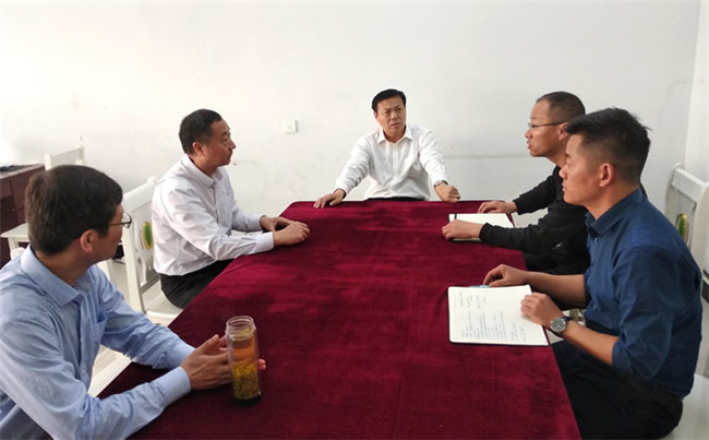 ������(btt)����-918������,���������