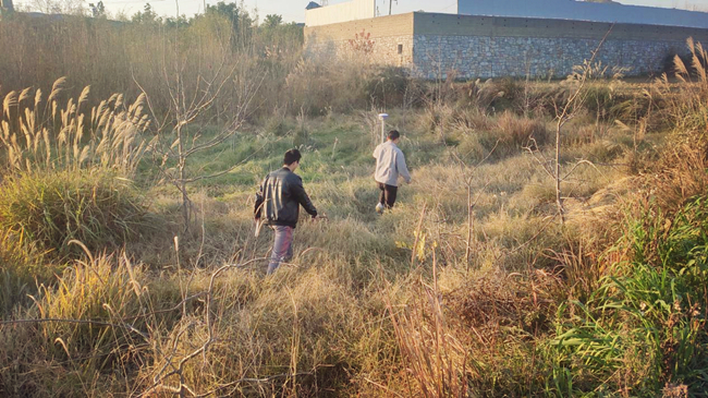 ������(btt)����-918������,���������