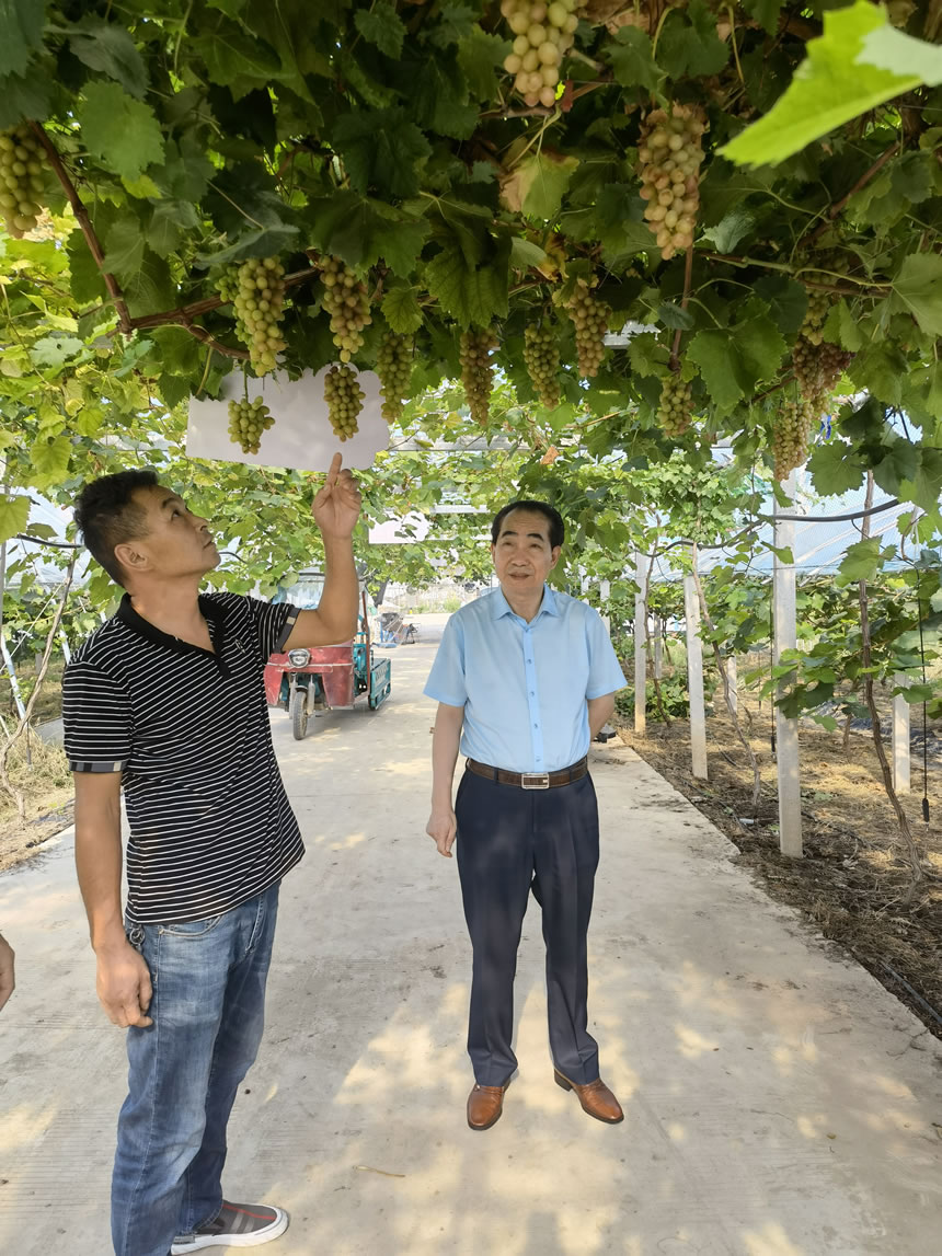 ������(btt)����-918������,���������