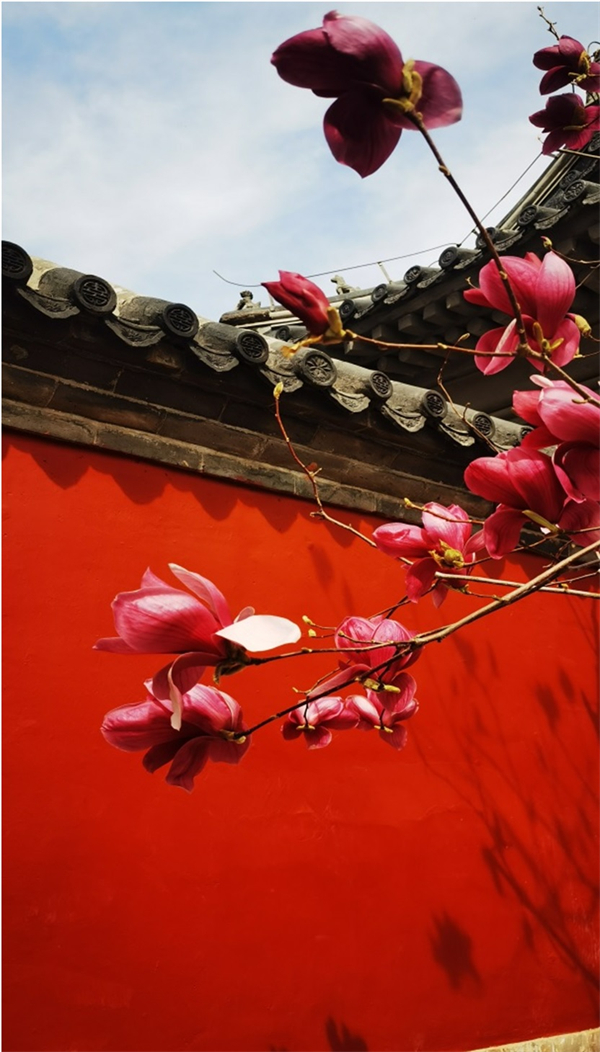 新利体育·luck18(中国)首页